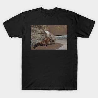 River Otter T-Shirt